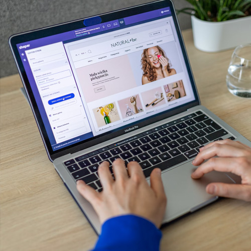 Une personne en train de consulter un site e-commerce